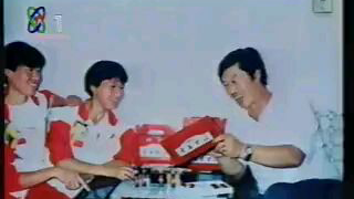 九十年代央视播出过的老广告(含传说中的中华鳖精 第一个就是)